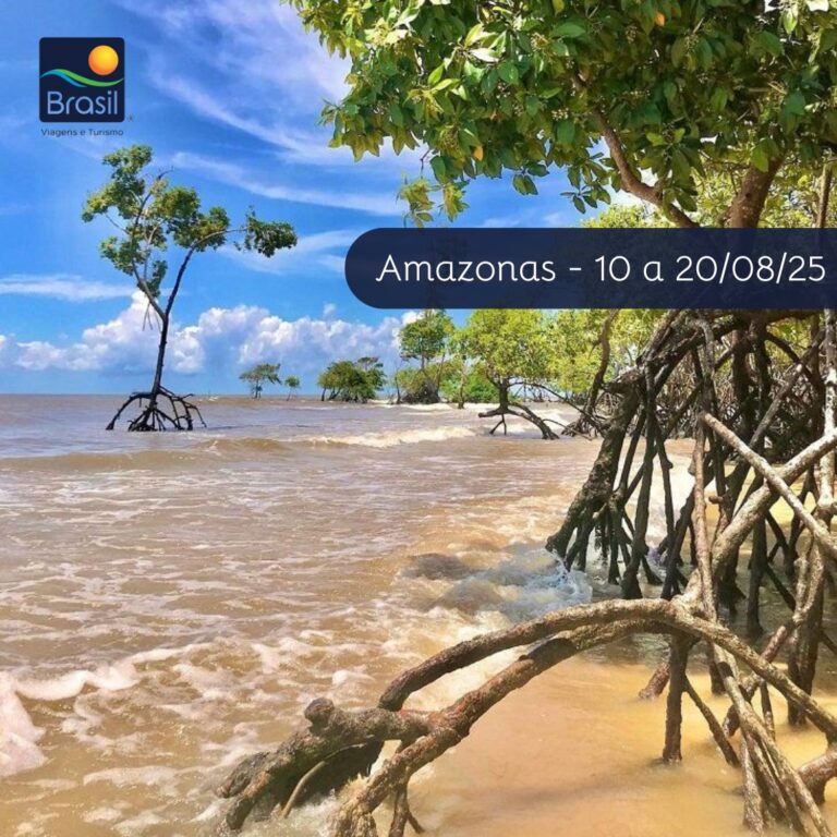 Amazônia Especial – 3 VAGAS